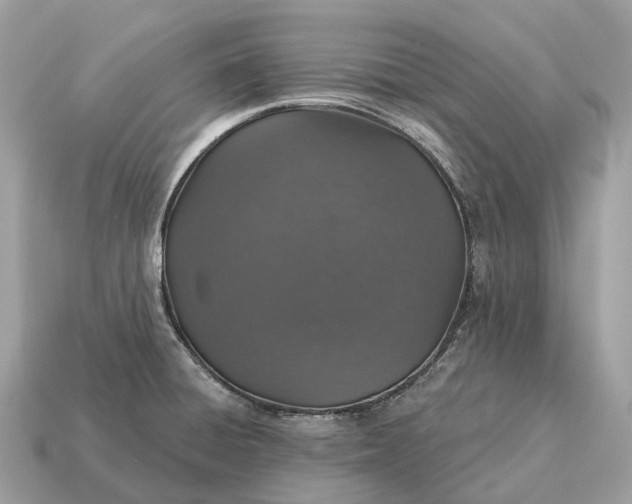 X0000115131428200911101638