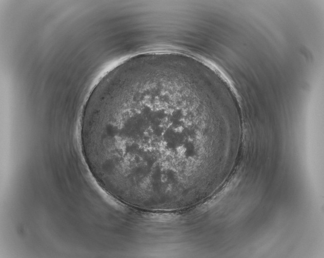 X0000115131429200911101638