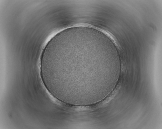 X0000115131430200911101638