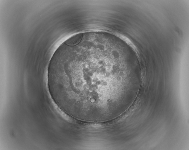 X0000115131431200911101638
