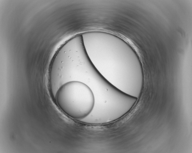 X0000115131432200911101638