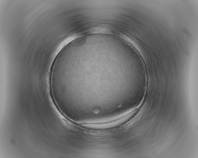 X0000115131434200911101638