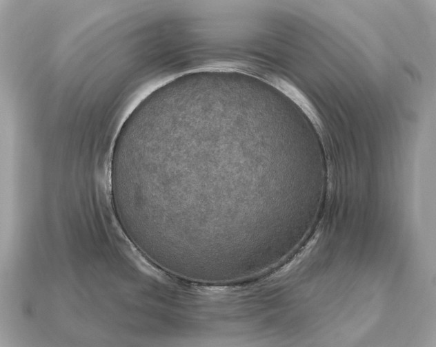 X0000115131436200911101638