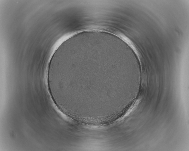 X0000115131437200911101638