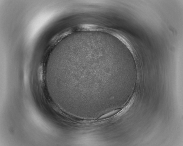 X0000115131438200911101638
