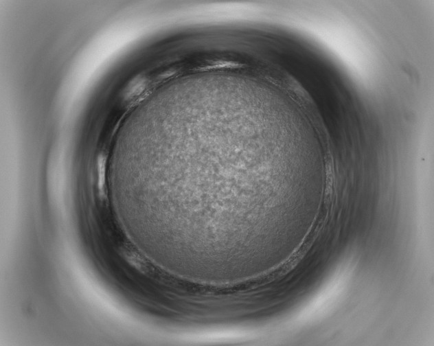 X0000115131439200911101638