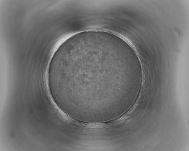 X0000115131440200911101638