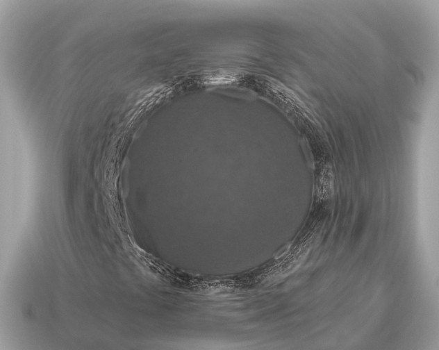 X0000115131441200911101637