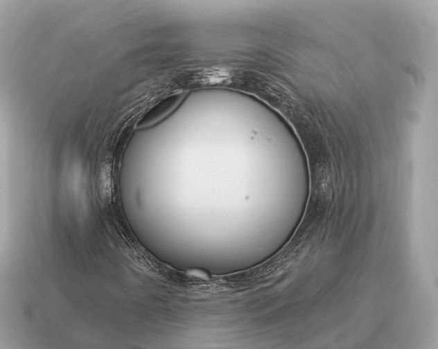X0000115131442200911101637