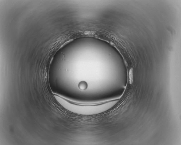 X0000115131443200911101637
