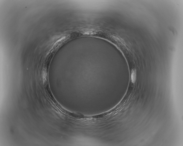 X0000115131444200911101637
