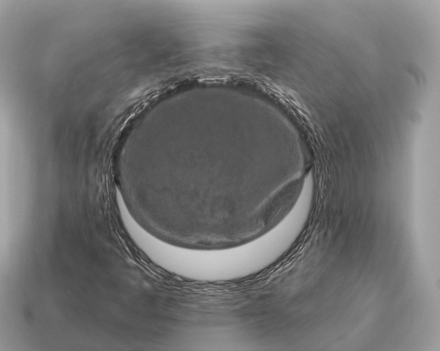 X0000115131445200911101637