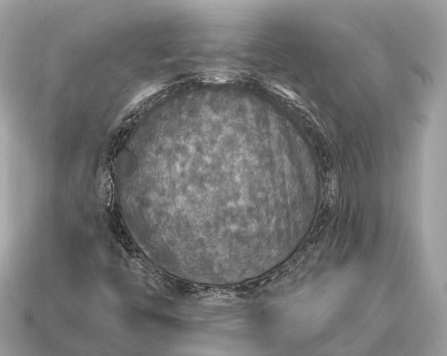 X0000115131446200911101637
