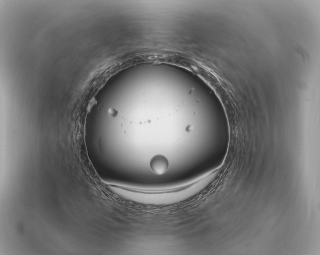 X0000115131447200911101637