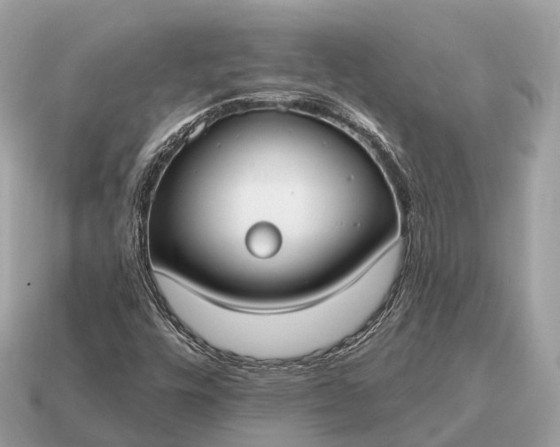 X0000115131448200911101637