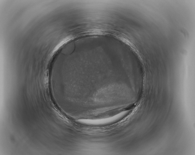 X0000115131450200911101637