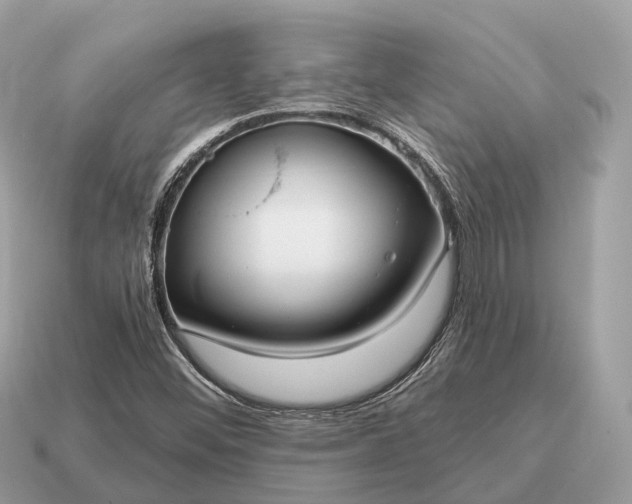 X0000115131452200911101637