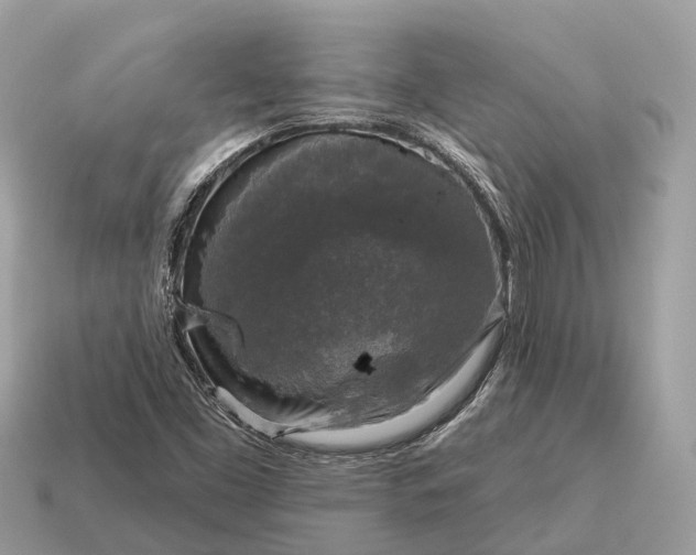 X0000115131453200911101637