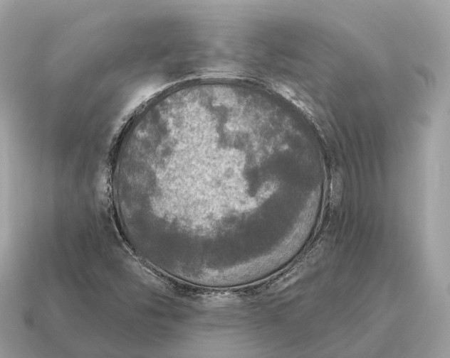 X0000115131454200911101637