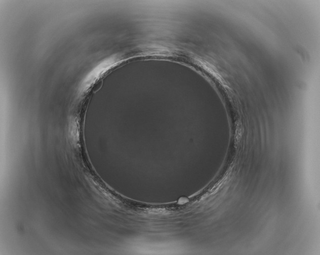 X0000115131455200911101637