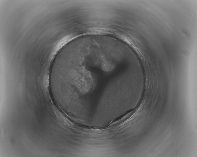 X0000115131459200911101637