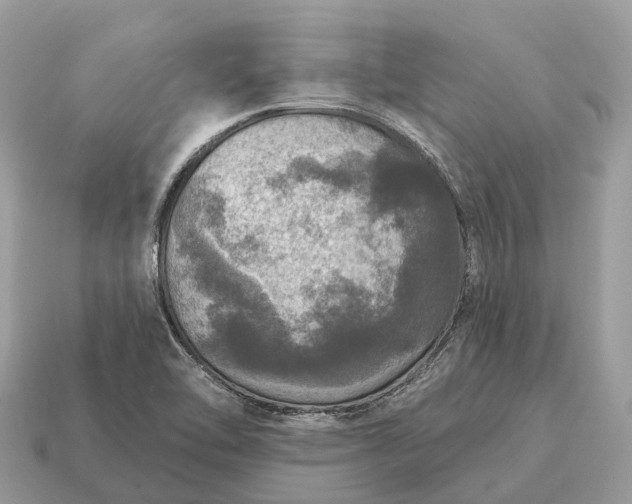 X0000115131462200911101637