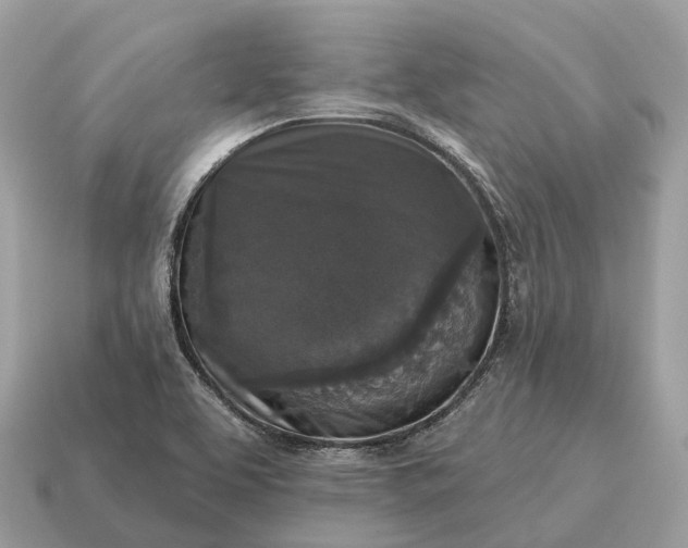 X0000115131463200911101637