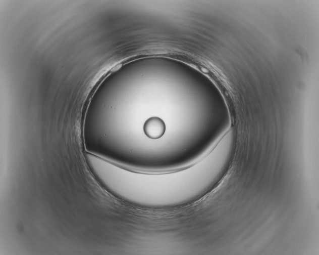 X0000115131465200911101637