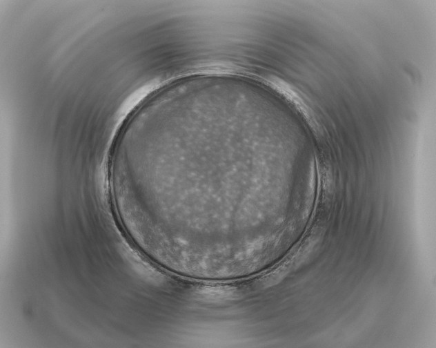 X0000115131466200911101637