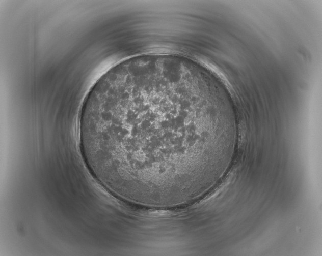 X0000115131467200911101637