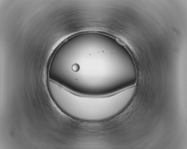 X0000115131468200911101637