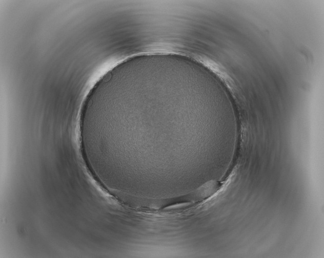 X0000115131469200911101637