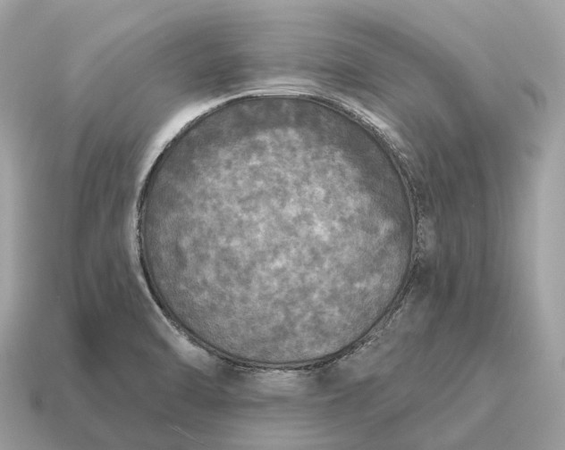 X0000115131470200911101637