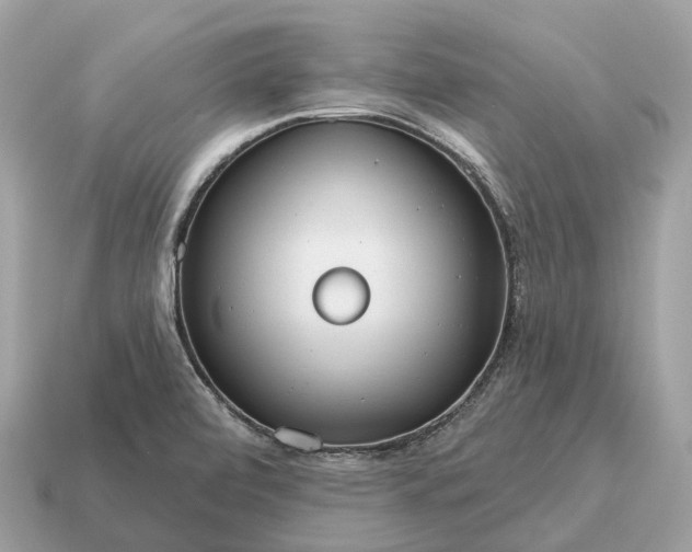 X0000115131472200911101637
