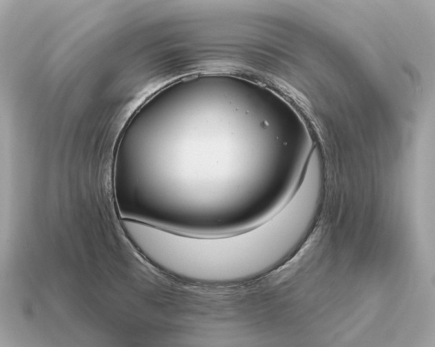 X0000115131473200911101637