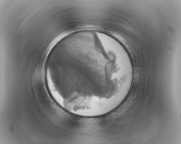 X0000115131474200911101637