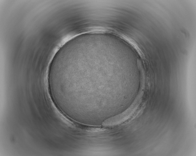 X0000115131475200911101637