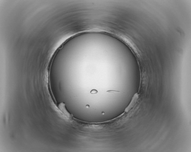 X0000115131476200911101637
