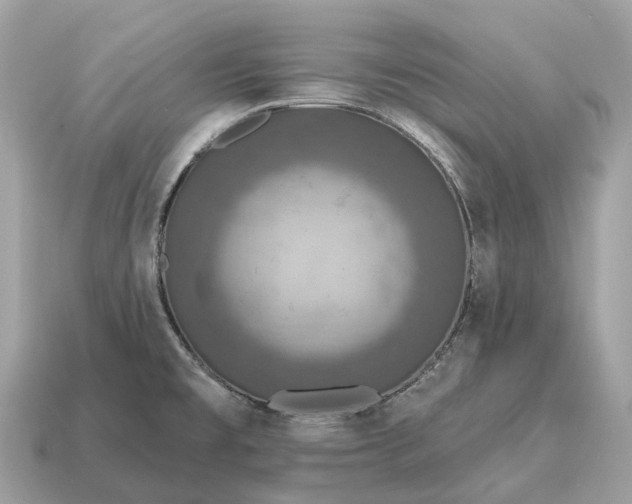 X0000115131477200911101637