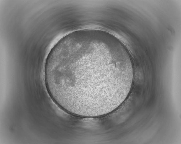 X0000115131478200911101637