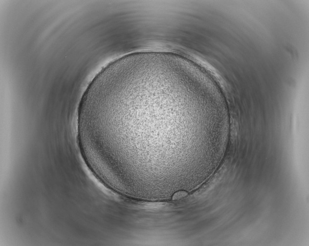 X0000115131479200911101637