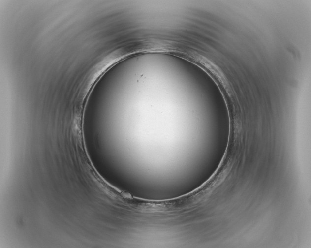 X0000115131481200911101637