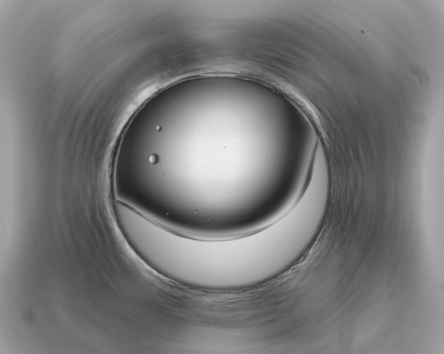 X0000115131483200911101637