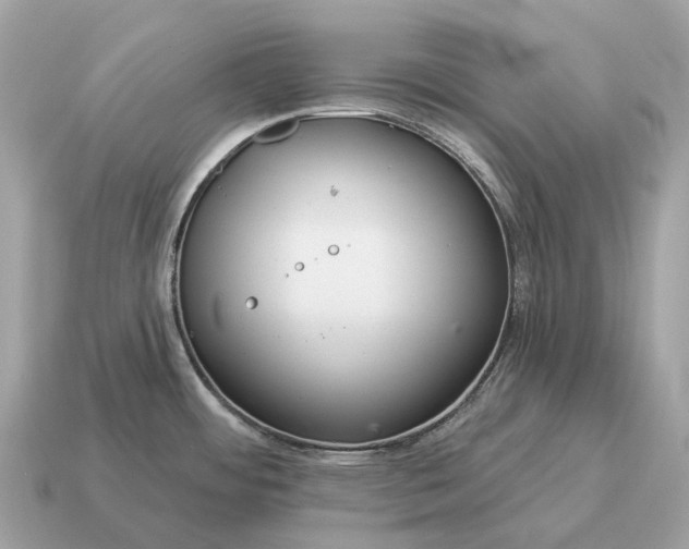 X0000115131484200911101637