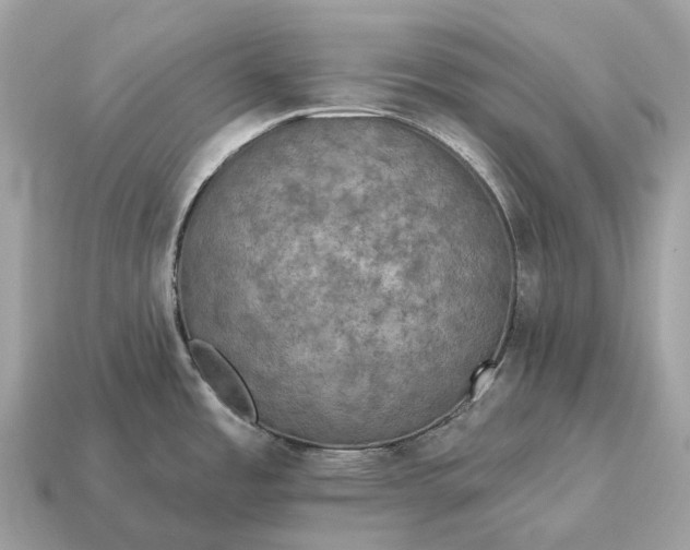 X0000115131485200911101637