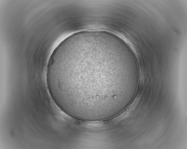 X0000115131486200911101637