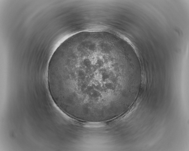 X0000115131487200911101637