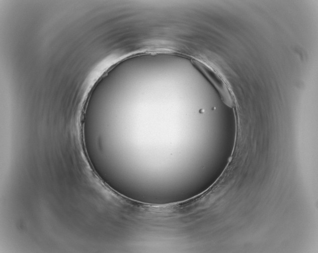 X0000115131488200911101637