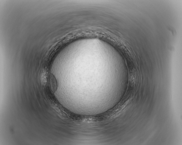 X0000115131490200911101636
