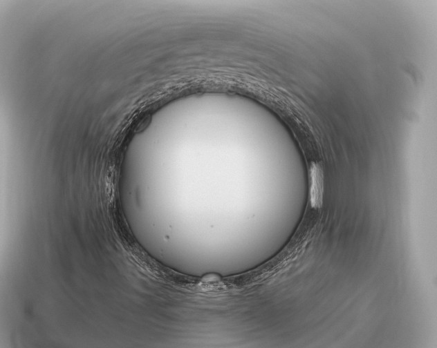 X0000115131491200911101636